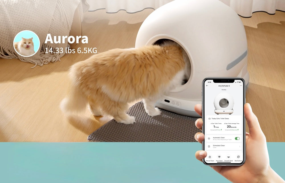 litière pour chat autonettoyant avec caméra 1080P HD