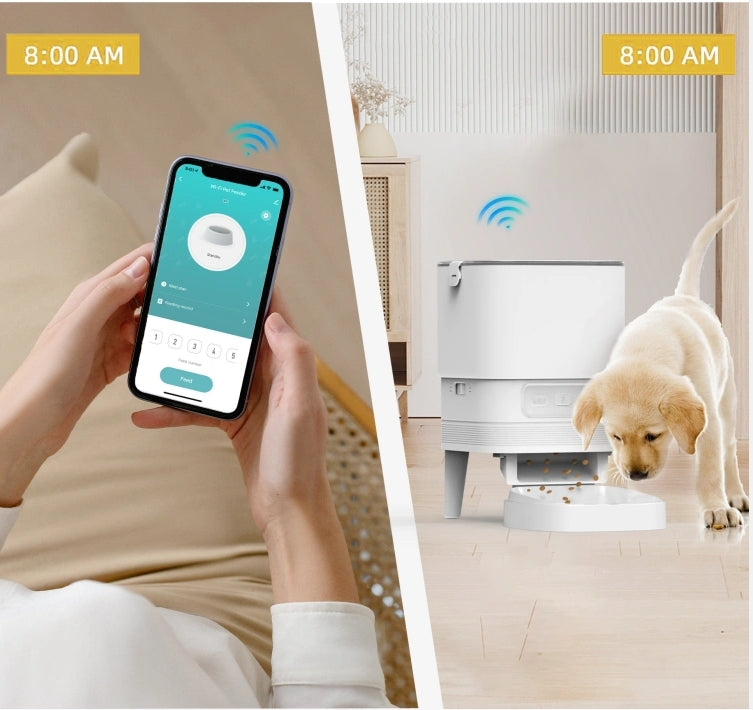 Distributeur Automatique de Croquettes pour Chat Wi-FI 2.4G, Contrôle Via App