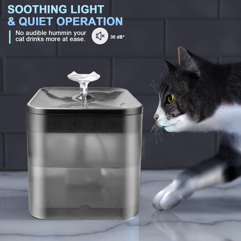 Water foutain