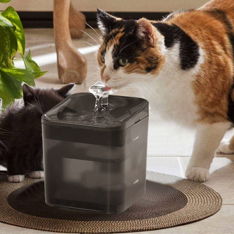 Water foutain