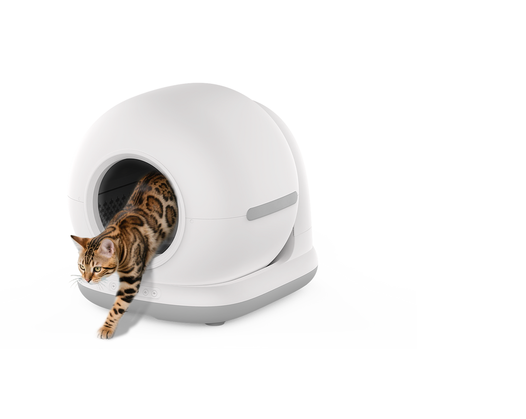 litière pour chat autonettoyant avec caméra 1080P HD